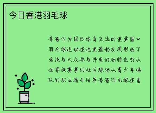 今日香港羽毛球